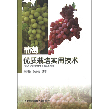 葡萄优质栽培实用技术 9787810927611 pdf epub mobi 电子书 下载