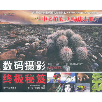 数码摄影秘笈 pdf epub mobi 电子书 下载