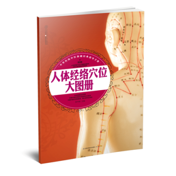 人體經絡穴位大圖冊
