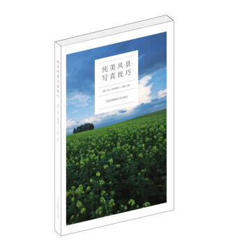 纯美风景写真技巧 pdf epub mobi 下载