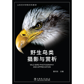 野生鳥類攝影與賞析 pdf epub mobi 下载
