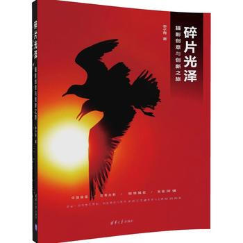BF-碎片光泽-摄影创意与创新之旅-李子青 清华大学出版社 9787302460602 pdf epub mobi 电子书 下载