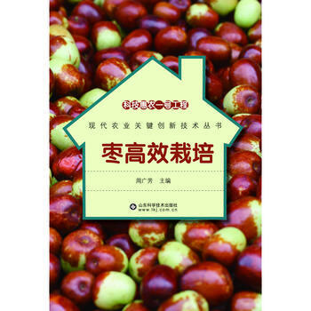 枣高效栽培/现代农业关键创新技术丛书 周广芳 pdf epub mobi 电子书 下载