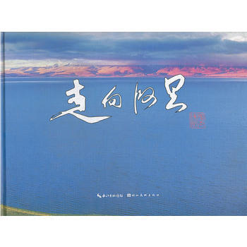 走向阿里 张元辉 pdf epub mobi 电子书 下载
