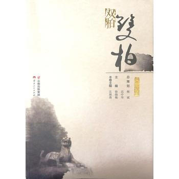 满58包邮 文化楚雄 双柏 9787222165779 沈海燕 云南人民出版社 pdf epub mobi 下载