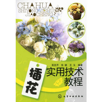 插花實用技術教程(吳亞芹) pdf epub mobi 下载