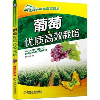 葡萄優質高效栽培 9787111521075