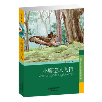 正版 小鷹逆風飛行 瀋石溪 9787530765203 pdf epub mobi 下载