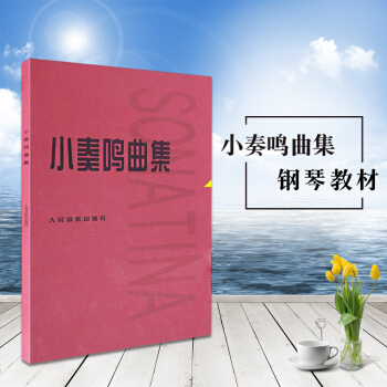 小奏鸣曲集钢琴初级练习曲书籍钢琴教材教程钢琴基础教程曲谱书指法练习大师作品集钢琴五线谱曲谱教程小奏鸣 pdf epub mobi 下载