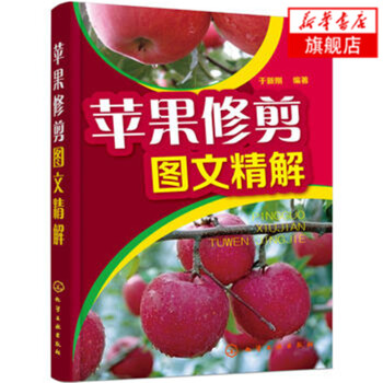 苹果修剪图文精解