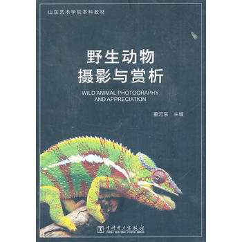 BF-野生动物摄影与赏析-董河东 中国电力出版社 9787512364127