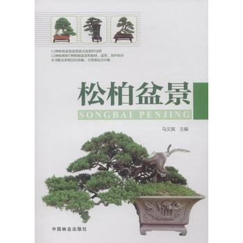 BF-松柏盆景-马文其 中国林业出版社 9787503873461