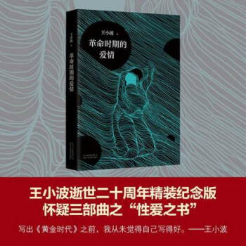 革命时期的爱情 王小波 pdf epub mobi 电子书 下载