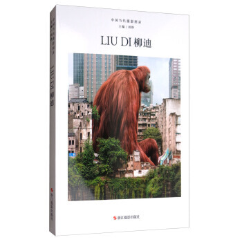 中國當代攝影圖錄:柳迪 9787551418683