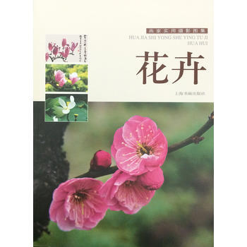 画家实用摄影图集---花卉 9787547912270