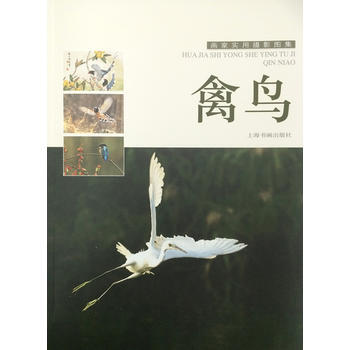 畫傢實用攝影圖集---禽鳥 9787547912263
