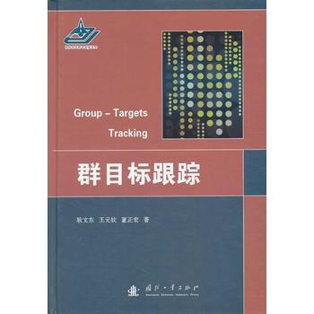 群目标跟踪(精) 耿文东 pdf epub mobi 下载