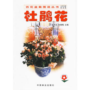 杜鹃花//百花盆栽图说丛书 毛洪玉,孙晓梅 pdf epub mobi 下载