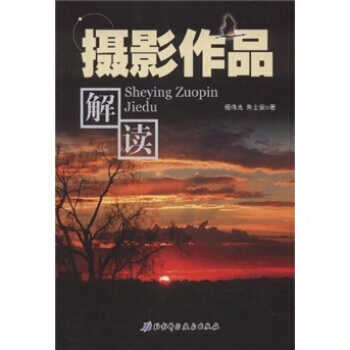 攝影作品解讀 pdf epub mobi 電子書 下載
