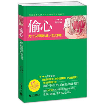 偷心：为什么爱情总让人如此疯狂 pdf epub mobi 电子书 下载