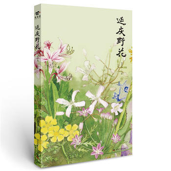 延庆野花 刘华杰