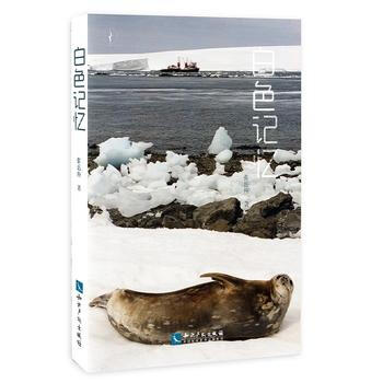 白色记忆 张岳庚 pdf epub mobi 下载