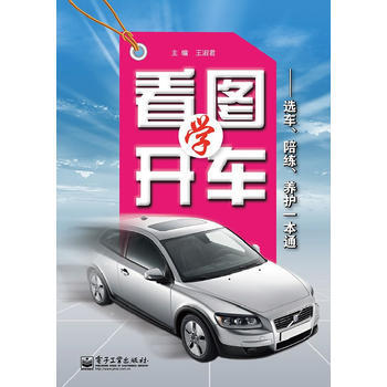 看图学开车 王淑君 pdf epub mobi 下载