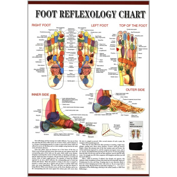 正版足部反射區掛圖英文版束霖東南大學齣版社全新考研教材9787564133740?? pdf epub mobi 電子書 下載