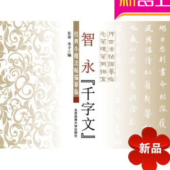 智永千字文(经典小楷法帖描摹临) 智永 智永楷书千字文 书法毛笔字帖北京体育大学 智永真书千字文 pdf epub mobi 电子书 下载