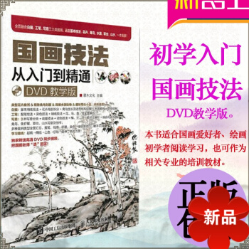 國畫技法從入門到精通 DVD教學版 國畫書 國畫教程 寫意山水畫牡丹梅蘭竹菊人物 初學國畫入門基礎教 pdf epub mobi 下载