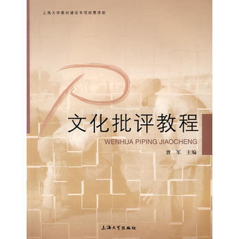 文化批评教程 pdf epub mobi 下载