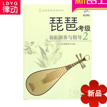 琵琶曲谱 琵琶考级名家演奏与指导（2） 琵琶考级教程 琵琶教材书 pdf epub mobi 下载