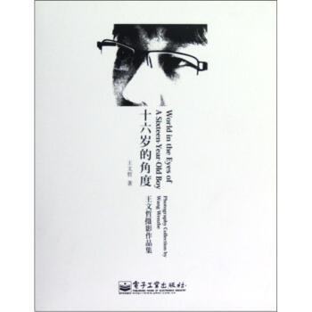 十六歲的角度：王文哲攝影作品集 9787121146275 電子工業齣版社 pdf epub mobi 電子書 下載