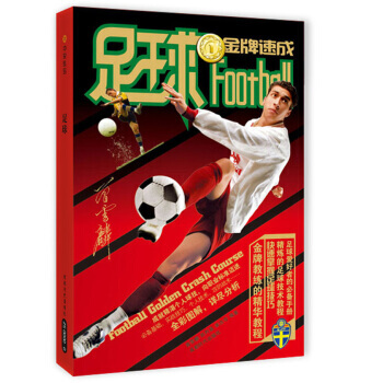 足球 曾雪麟 等 pdf epub mobi 下载