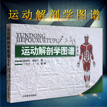 正版现货 运动解剖学图谱修订第三版3版 顾德明 缪进昌 肌肉塑造健身健美训练图解教程书籍 pdf epub mobi 下载
