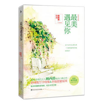 美遇见你(完美纪念版) 9787550008229 百花洲文艺出版社 pdf epub mobi 电子书 下载