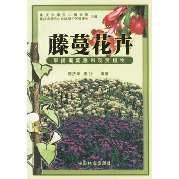 藤蔓花卉 熊济华,唐岱 pdf epub mobi 电子书 下载