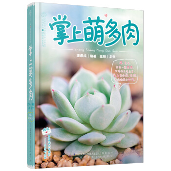 掌上萌多肉 王意成著 pdf epub mobi 电子书 下载