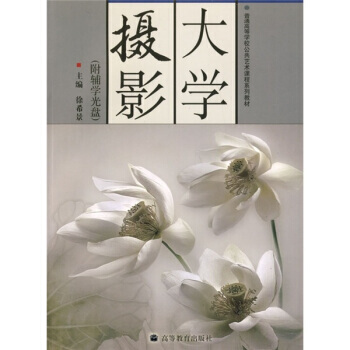 普通高等學校公共藝術課程係列教材：大學攝影(附輔學光盤) pdf epub mobi 電子書 下載