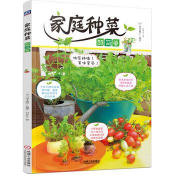 家庭种菜超简单