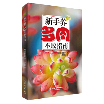 新手养多肉不败指南 pdf epub mobi 下载