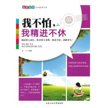 我不怕，我精进不休 pdf epub mobi 电子书 下载