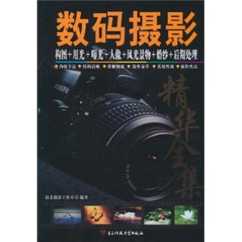 數碼攝影構圖+用光+曝光+人像+風光景物+婚紗+後期處理精華全集 pdf epub mobi 電子書 下載
