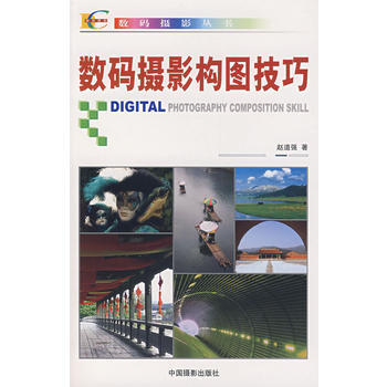 数码摄影构图技巧 pdf epub mobi 下载