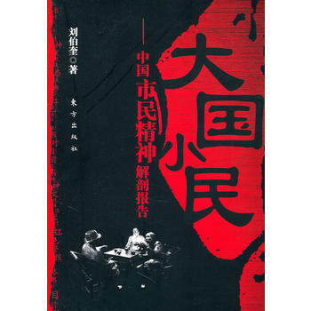大国小民—中国市民精神解剖报告