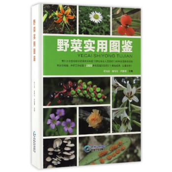 野菜实用图鉴 pdf epub mobi 电子书 下载