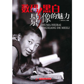 数码黑白影像的魅力 pdf epub mobi 下载