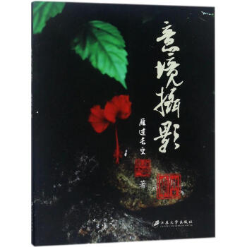 意境攝影 pdf epub mobi 電子書 下載