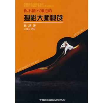 摄影大师秘笈 9787512200203 pdf epub mobi 电子书 下载