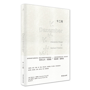 十二月 [德]亚历山大·克鲁格、[德]格哈德·里希特 台海出版社 pdf epub mobi 下载